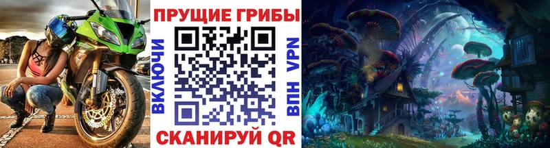 Псилоцибиновые грибы мухоморы  Купить где  Александровск 