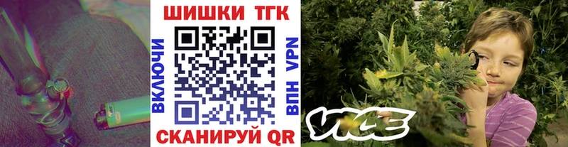 Шишки марихуана OG Kush  Купить закладки  Александровск 