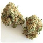 Шишки "White Widow"  (Белая вдова)  Гидропоника -  Бошка VHQ в Александровске